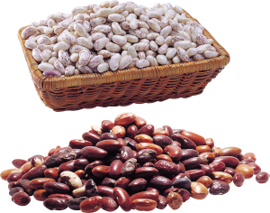 Kidney beans PNG-56923